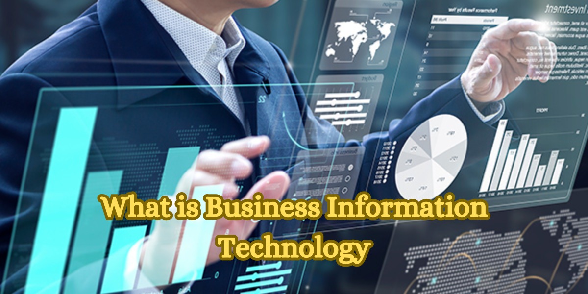 What is Business Information Technology