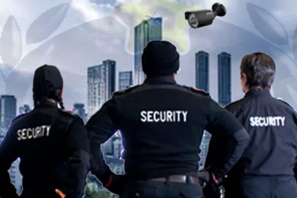 Crown Security Services