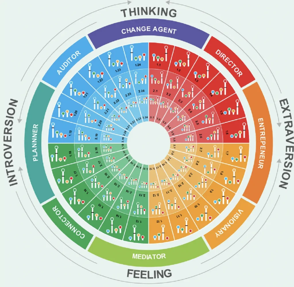 A detailed guide for using a 4-color personality test in organizations