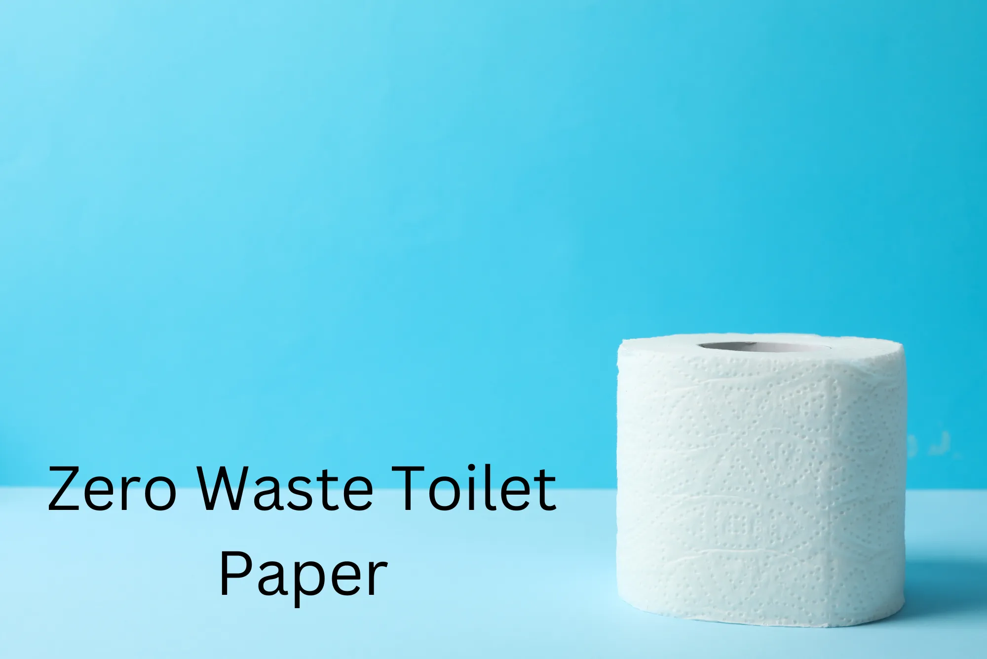 zero waste toilet paper