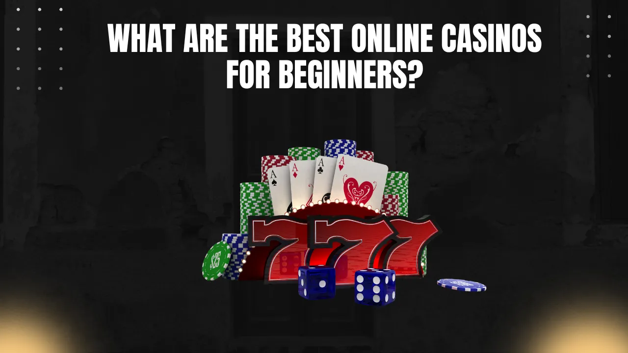 What Are the Best Online Casinos for Beginners_